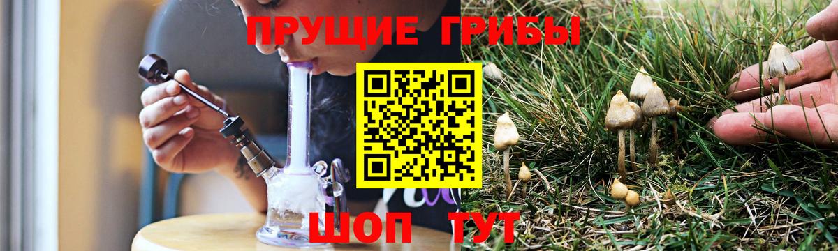 Псилоцибиновые грибы мицелий  Вход с VPN  Киржач 