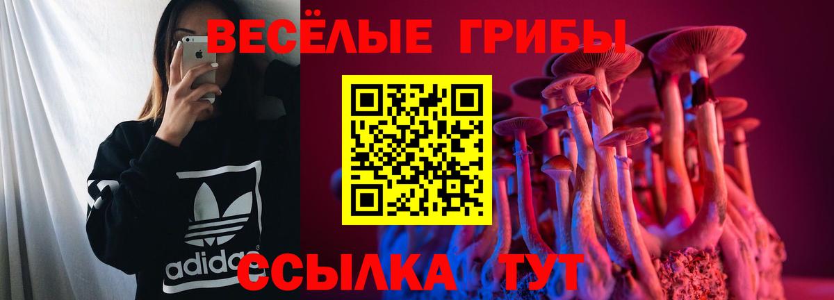 Псилоцибиновые грибы MAGIC MUSHROOMS Киржач
